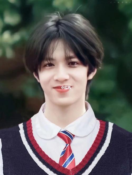 刘耀文证件照96_证件照_刘耀文_娱乐_明星娱乐资讯