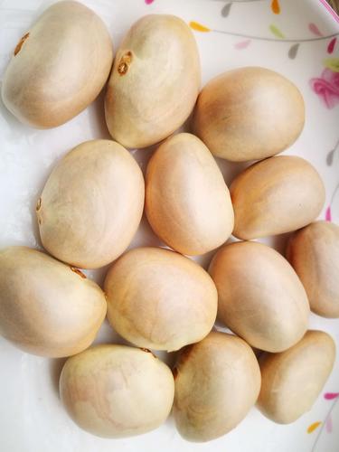 好看好吃的菠萝蜜种子别丢了