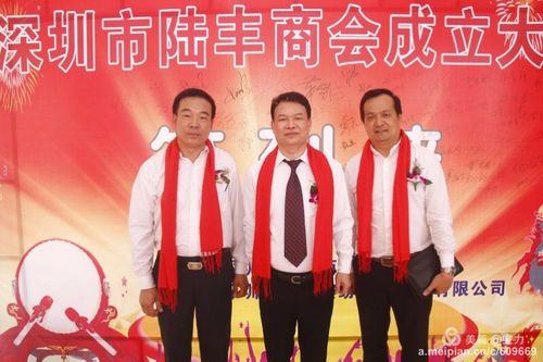 深圳市陆丰商会,大平台,大联盟,大团结,大商机,大发展