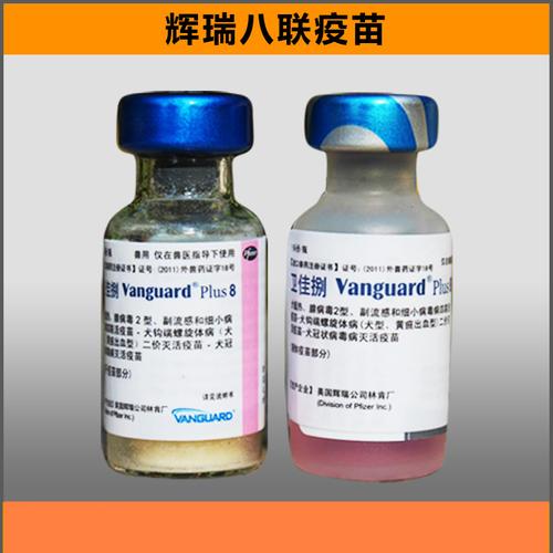 特价 美国辉瑞8联疫苗 卫佳八联活性疫苗狗育苗 预防犬瘟细小冠状