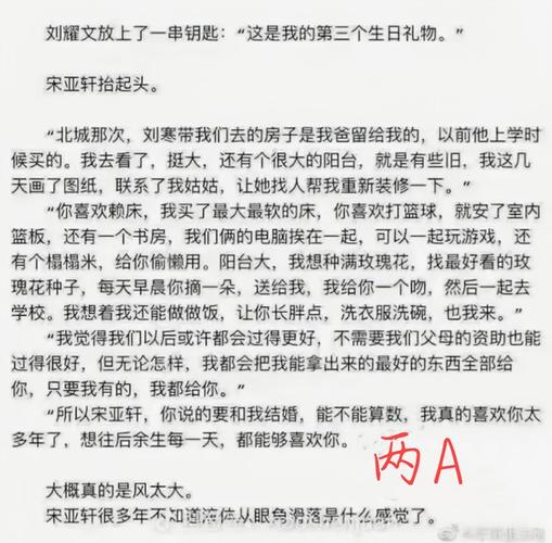 大家对于tnt粉丝抄袭有什么看法04