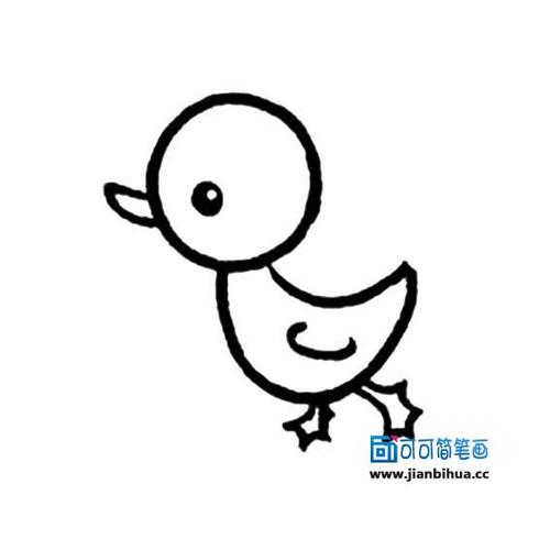 幼儿简笔画动物小鸭
