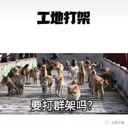 工地人员表情包一览真是太形象了