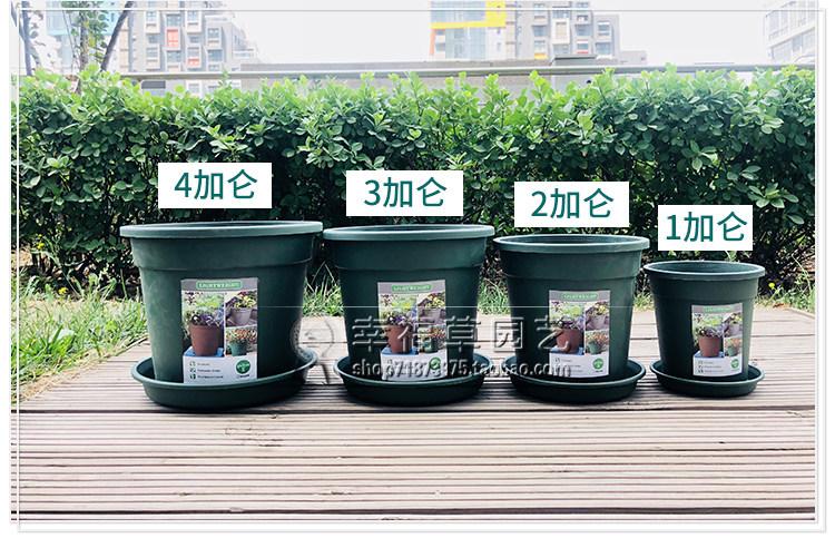 热卖环球加仑盆圆形加厚绿萝月季塑料种花阳台种菜盆栽多肉大口径花盆