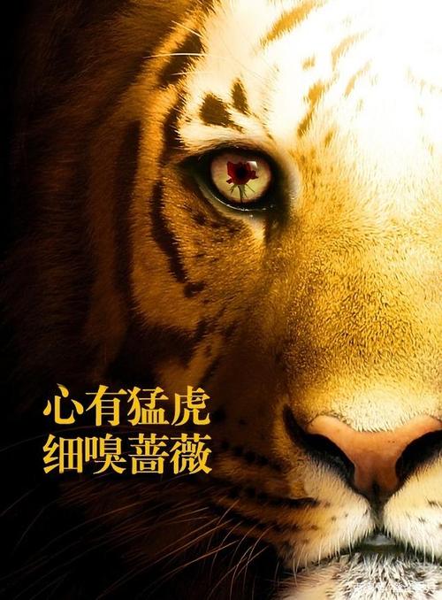 当猛虎嗅了蔷薇后