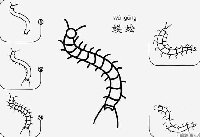 蜈蚣怎么画简笔画图片