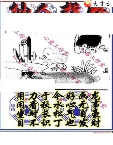 真三毛2019265期福彩3d图谜