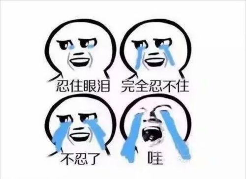 激动到语言系统紊乱(关键是我连个形容心情表情包都找不着)