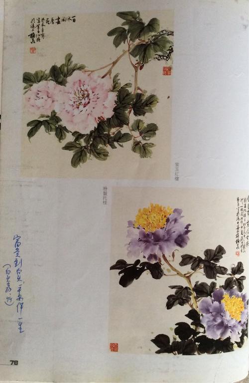 梅若老师百种牡丹小品(副本)