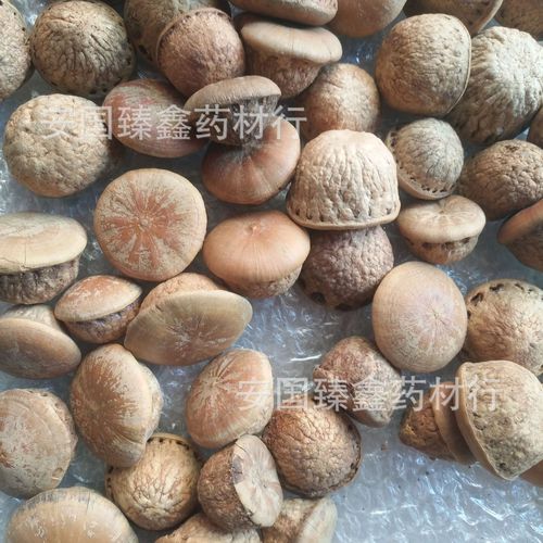 批发零售中药材风流果 壮阳果 印度青果