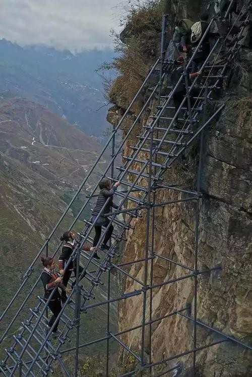 天梯上的孩子,广受各方关注