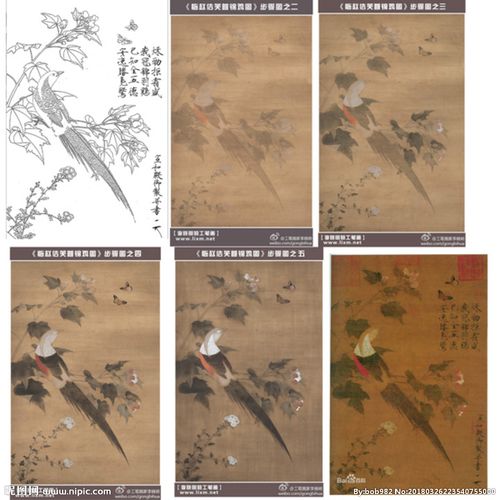 芙蓉锦鸡图 白描 步骤图图片