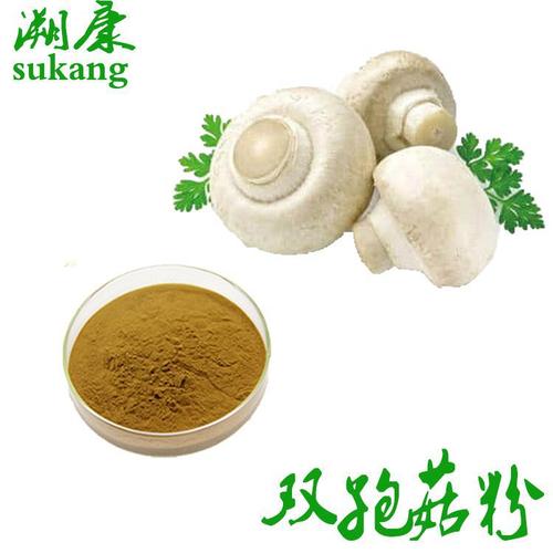 双孢菇粉 双孢菇提取物20:1 可按照客户要求包装 欢迎