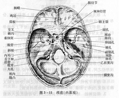 三叉神经痛 专题