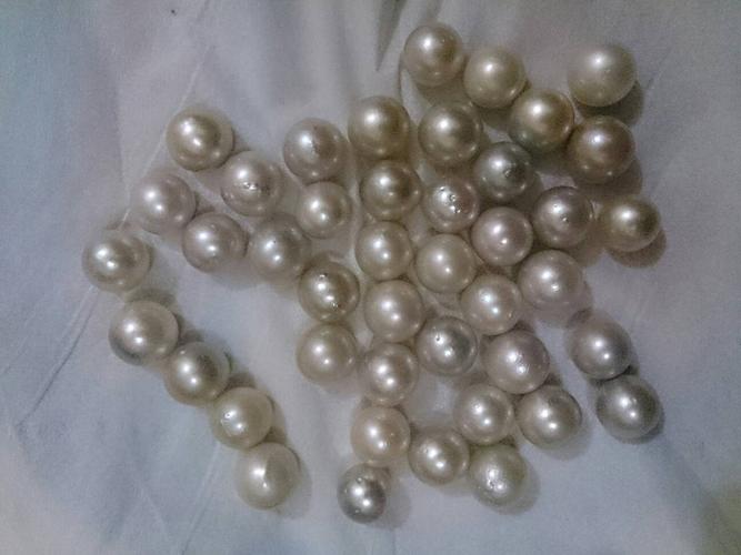 如何鉴别野生珍珠品质?这些是我在印尼一家小店淘的