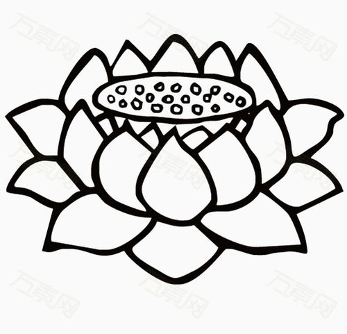 黑白剪莲花