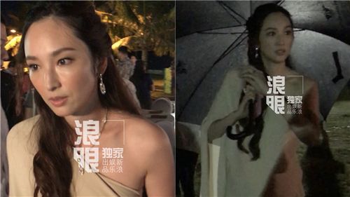 吴佩慈现身纪晓波塞班产业