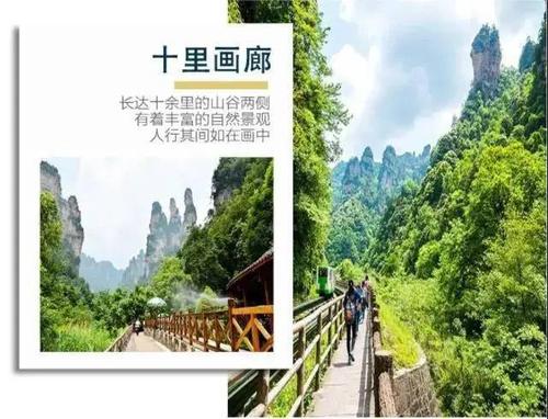 金鞭溪十里画廊百龙天梯往返土司城芙蓉镇酉水画廊凤凰古城全景6日游