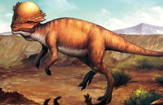 史上头最硬的生物