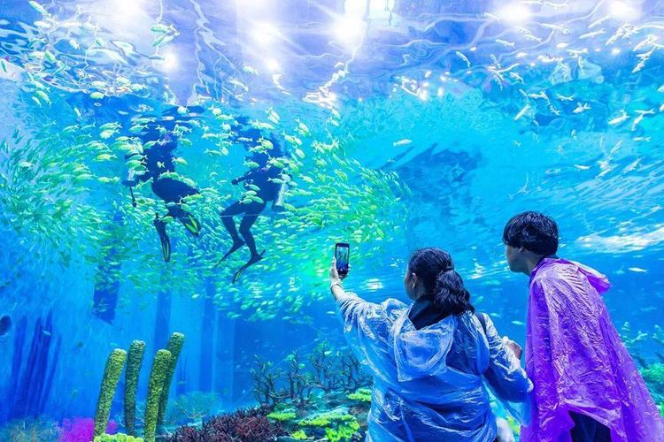 3万方大型海洋馆即将开园!_阜阳