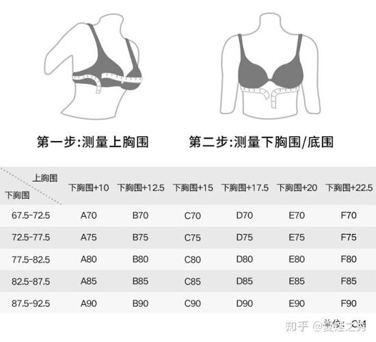 该怎么测量自己的胸围选文胸呢?