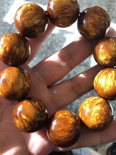 大神们给看看这个金丝海柳,怎么样,朋友送的