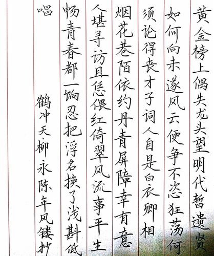 柳永《鹤冲天》手写钢笔字笔友钢笔书法习作欣赏