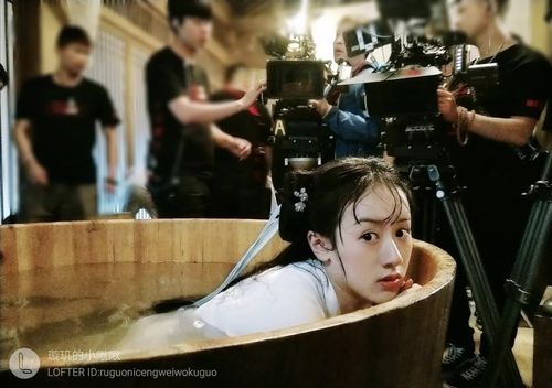 琉璃美人煞 袁冰妍饰褚璇玑 成毅饰禹司凤 - 堆糖,美图壁纸兴趣社区