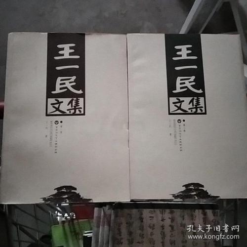 王一民文集