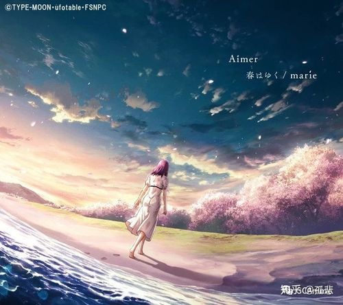 fate/stay night 第3章春之歌:主题曲《春去》【春はゆく】封面插图