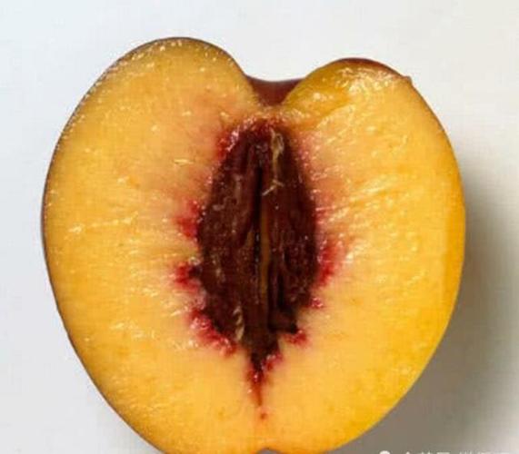 我们常见的东西切成两半,横切面你还认得出?网友:只认出了泡面