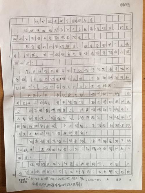 五年级寒假日记