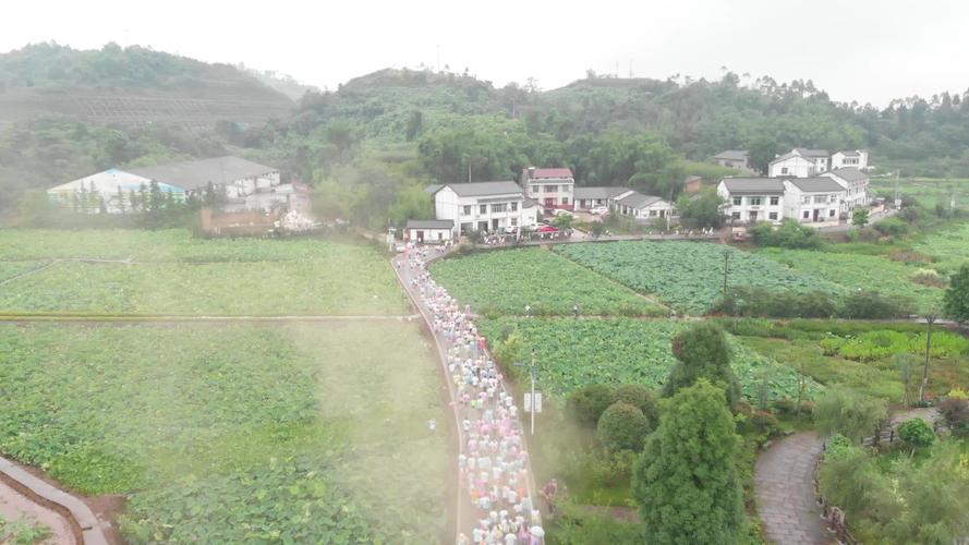 重庆铜梁荷和原乡彩虹跑_1920x1080_高清视频素材下载(编号:2706977)