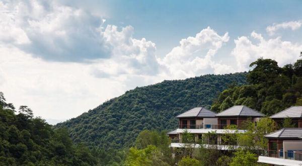 杭州hello kitty乐园,安吉这座山中别墅,虫鸣鸟语,晨雾环绕,如梦中