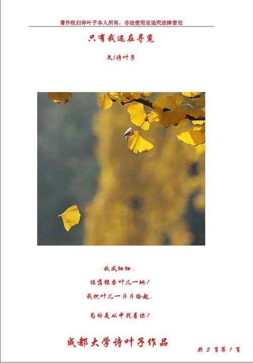 诗叶子诗歌 只有我还在寻觅
