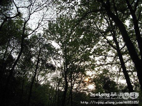 limodou采集到多图_岳麓山-万景园