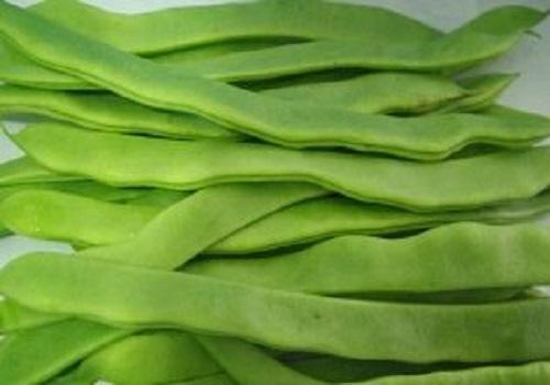 豆角没熟有毒?那扁豆刀豆四季豆呢?看完告诉家里人,别