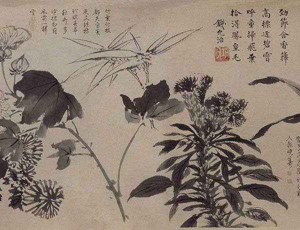 张伯驹收藏的明 周之冕《百花图》卷欣赏