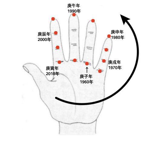 教大家在手掌上快速查干支年历,喜欢的朋友可以参考鉴赏