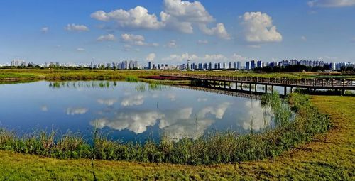而现在,群力东板块内群力外滩湿地公园,群力健康生态园,雨阳公园