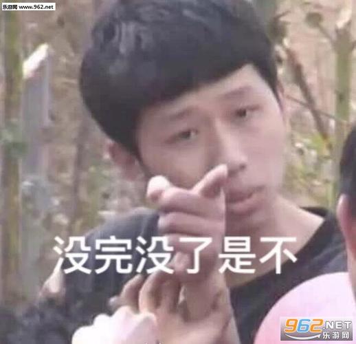 没完没了是不表情包