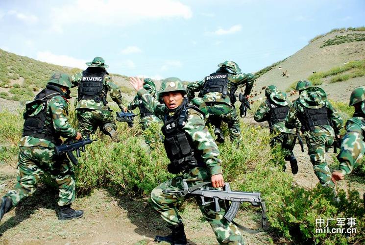 武警特战队员排兵布阵 深山丛林练战法