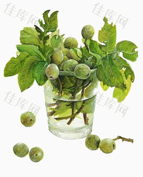 卡通梅子瓶子_卡通手绘_487*600px_编号10376306_png