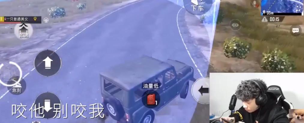 刺激战场:史诗级导演作品,年兽吃鸡第一人诞生,敌人都