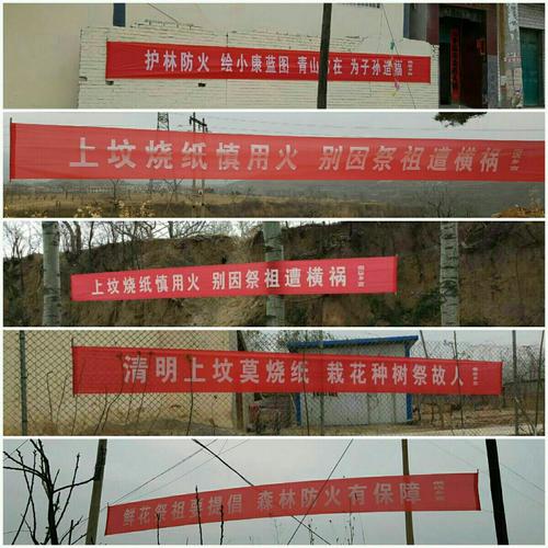 偏店乡清明节期间全力做好护林防火及"双违"拆除工作