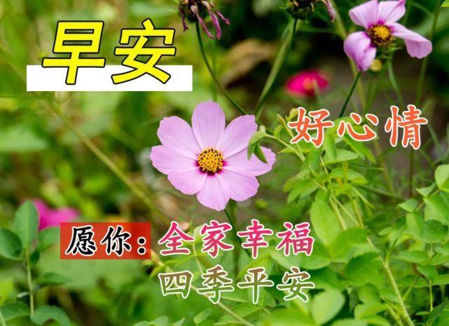2021年10月17日超暖心早安问候语图片带字早安短信问候祝福语