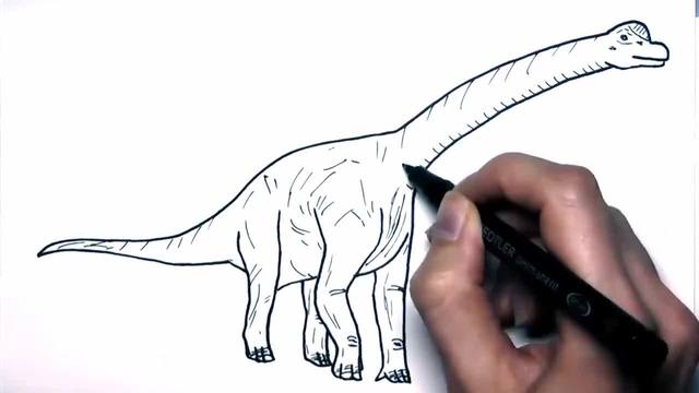 儿童涂鸦简笔画:教小朋友们画蜿龙