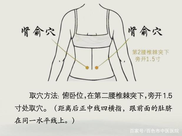 腰部的"肾俞穴",是肾之精气聚集之处,按摩,艾灸可温肾