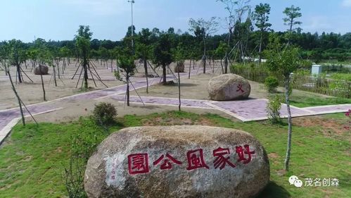 电白荔枝文化公园芳容初露,惊艳!