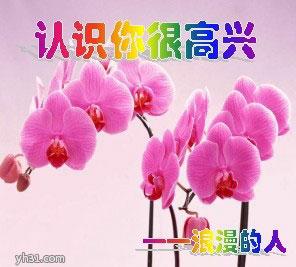 认识你真的很高兴